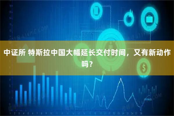 中证所 特斯拉中国大幅延长交付时间，又有新动作吗？